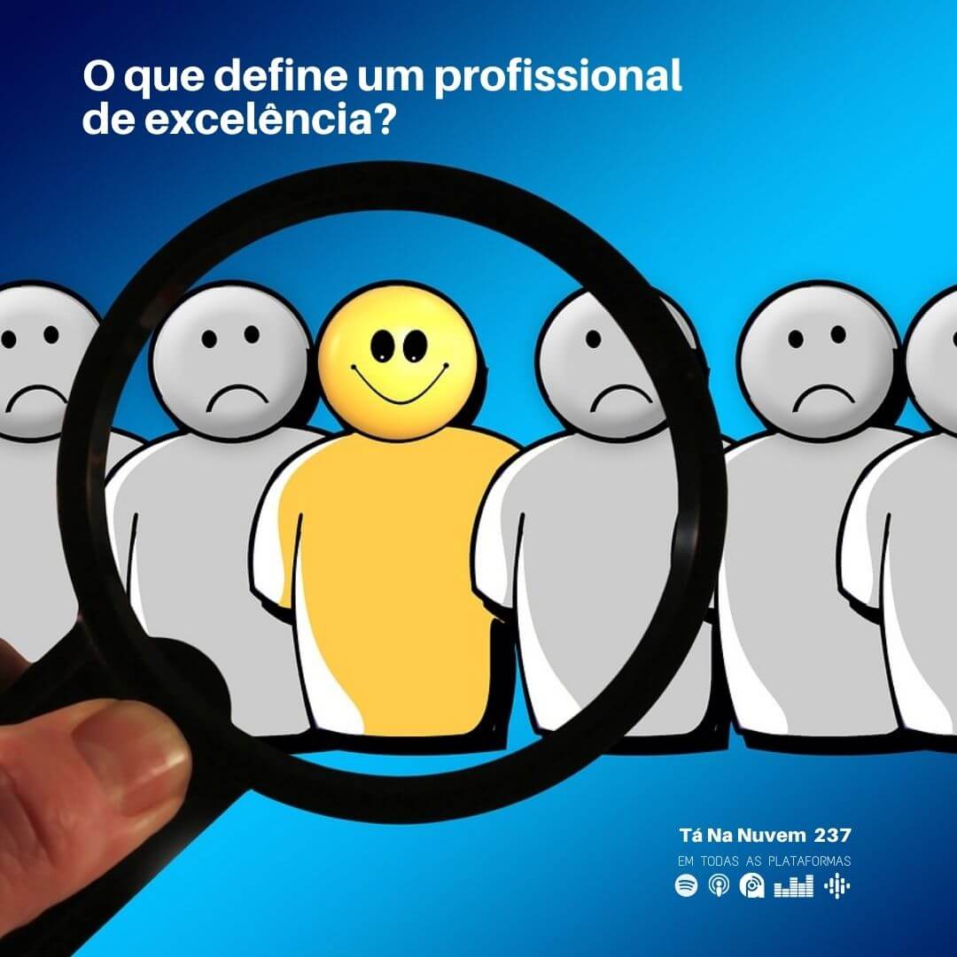 O que defini um profissional de excelência?