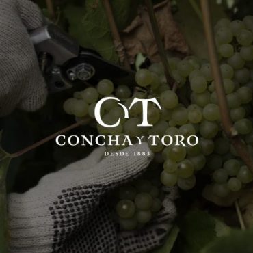 Pure Storage revoluciona operações da Concha y Toro com tradição e tecnologia